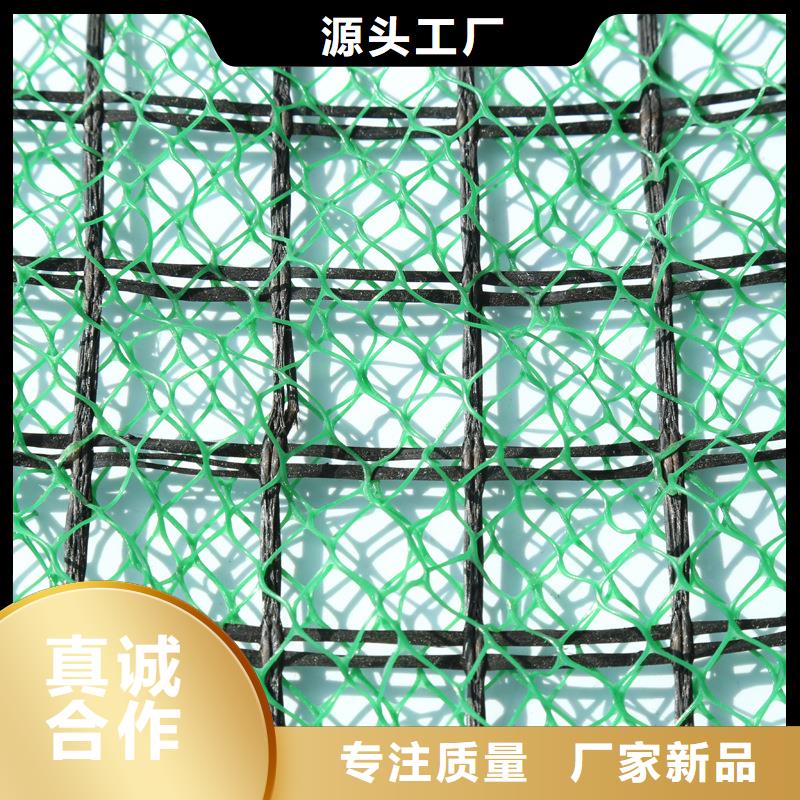 三维植被网植草格现货满足大量采购
