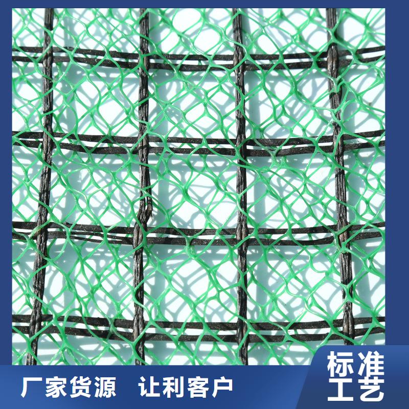 三维植被网【排水板】厂家直销值得选择