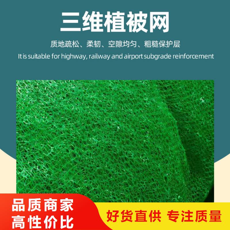 【三维植被网车库虹吸排水系统一个起售】