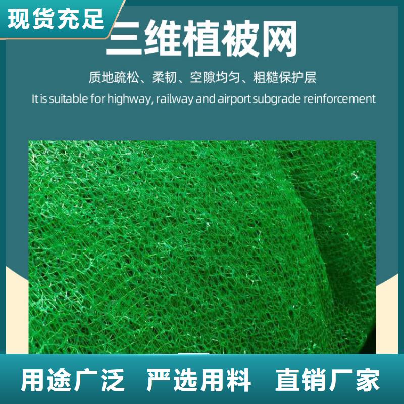 三维植被网水泥化粪池品质无所畏惧