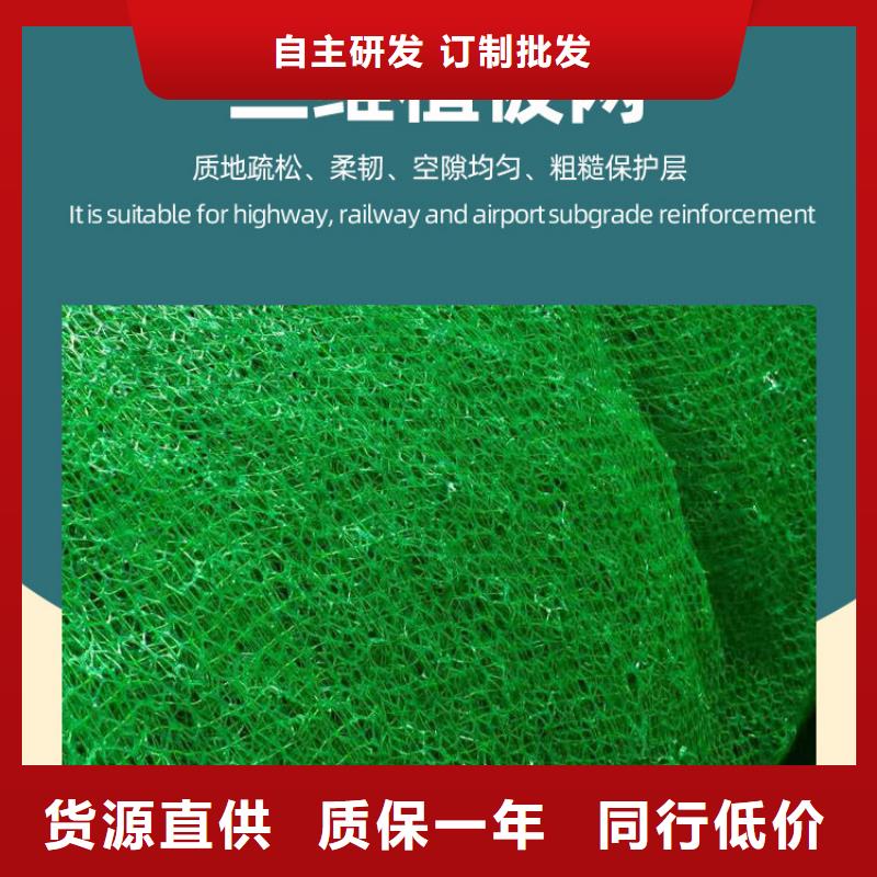 三维植被网-排水板让利客户