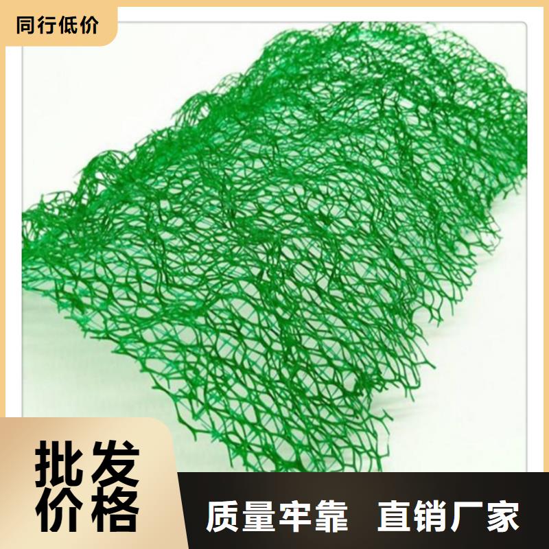 三维植被网化粪池水泥价格实惠