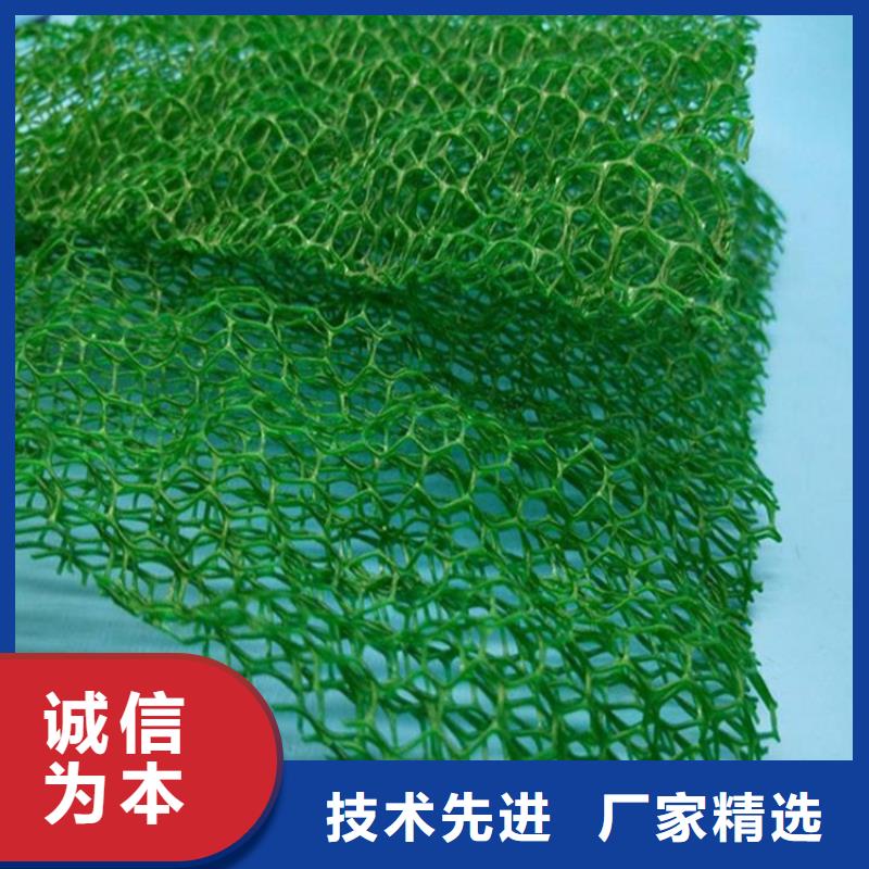 三维植被网车库虹吸排水系统放心得选择
