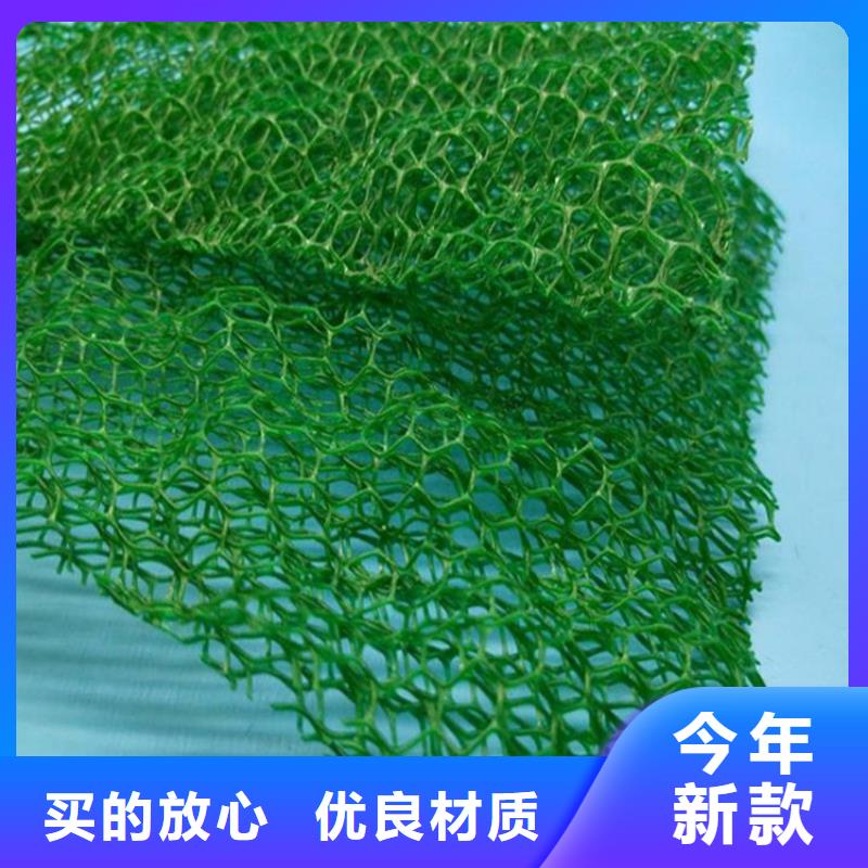 三维植被网植草格工厂批发