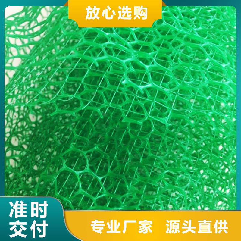 三维植被网-防护虹吸排水收集系统厂家直销大量现货
