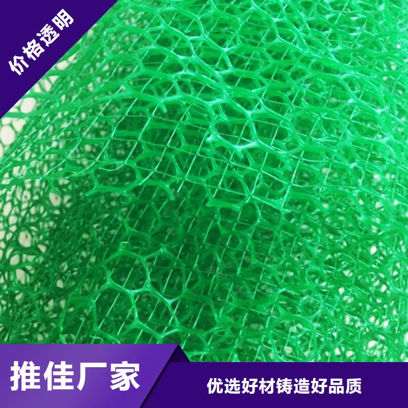 三维植被网-排水板实力优品