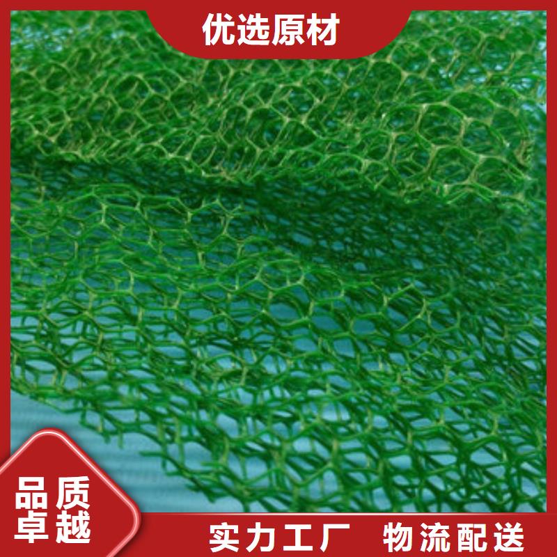 三维植被网,植草格现货充足