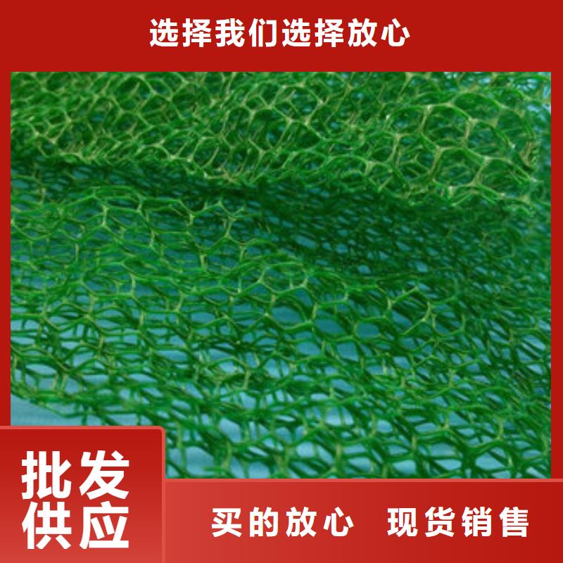 三维植被网【防护虹吸排水收集系统】定制零售批发