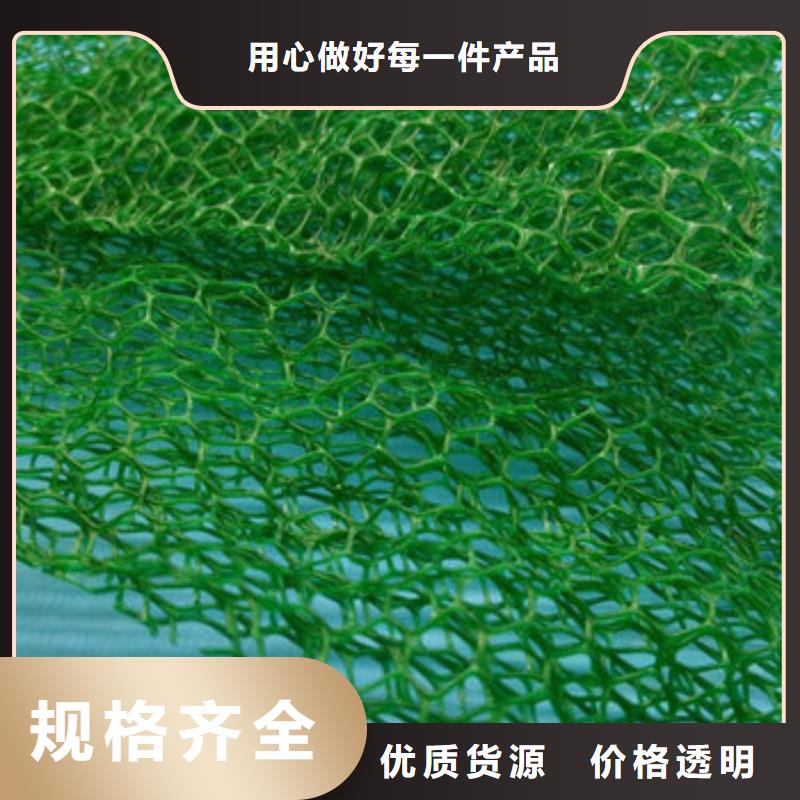 三维植被网防护虹吸排水收集系统闪电发货