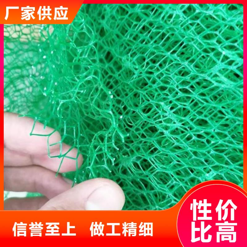 三维植被网植草格用心做品质
