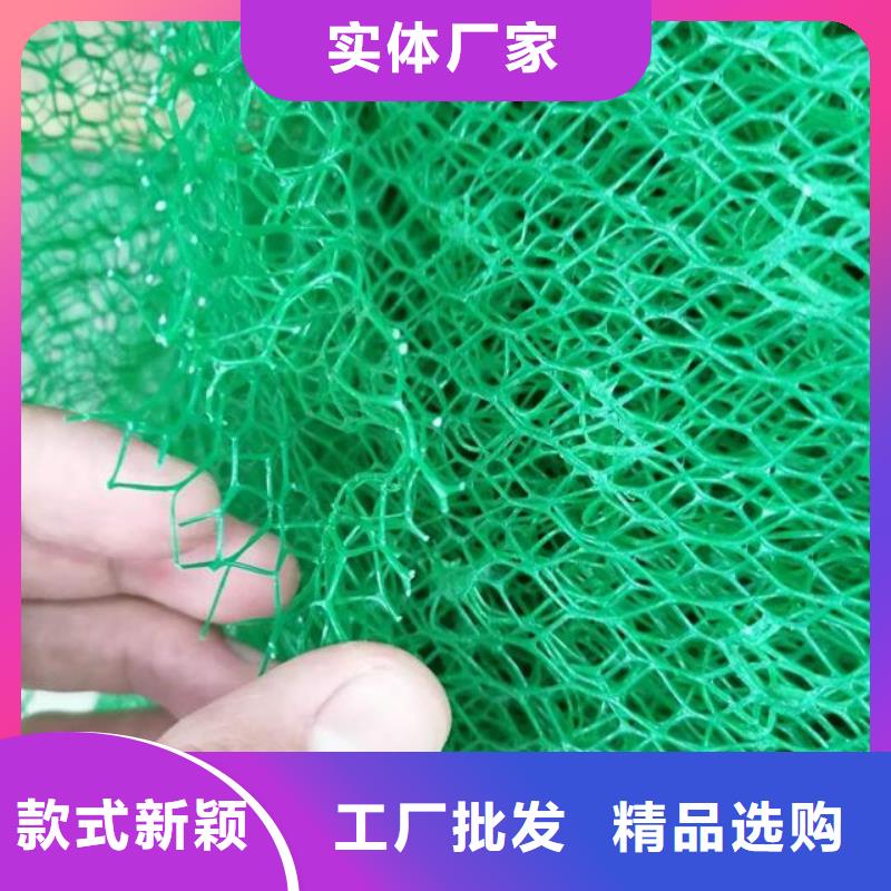 【三维植被网】_防护虹吸排水收集系统现货销售
