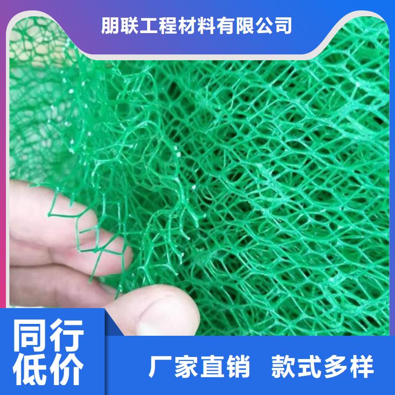 三维植被网-排水板实力优品