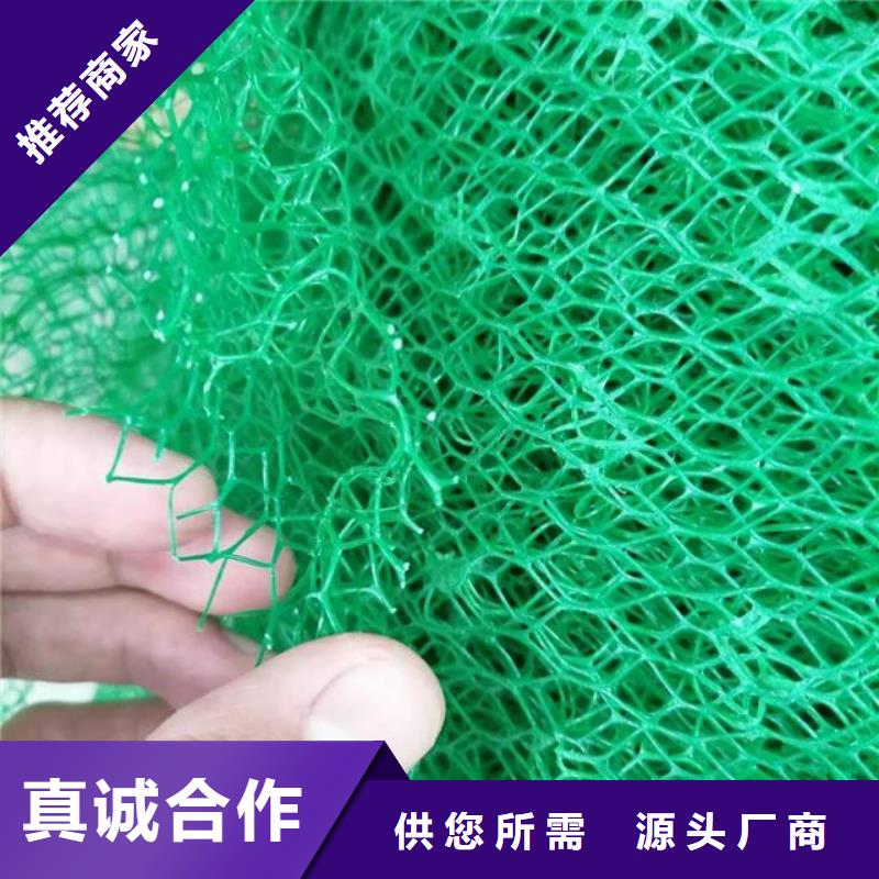 三维植被网排水板大品牌值得信赖
