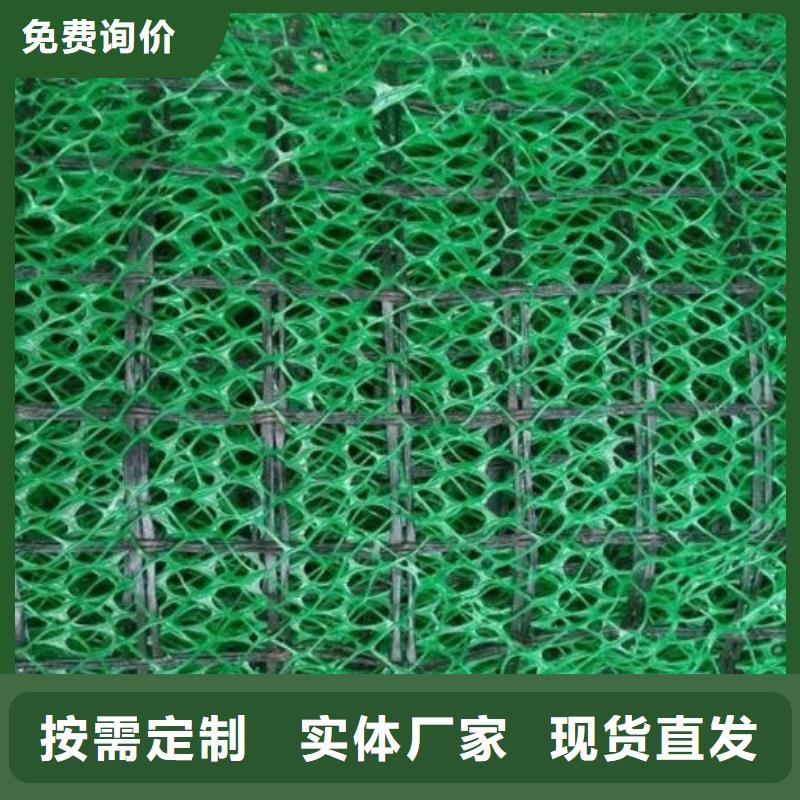 三维植被网植草格不断创新