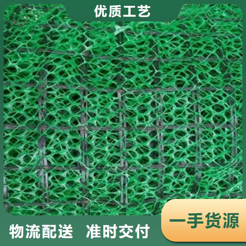 【三维植被网_水泥化粪池量大从优】