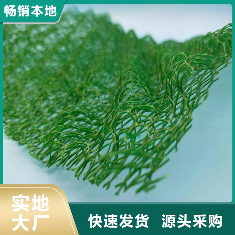 三维植被网_防护虹吸排水收集系统信誉有保证