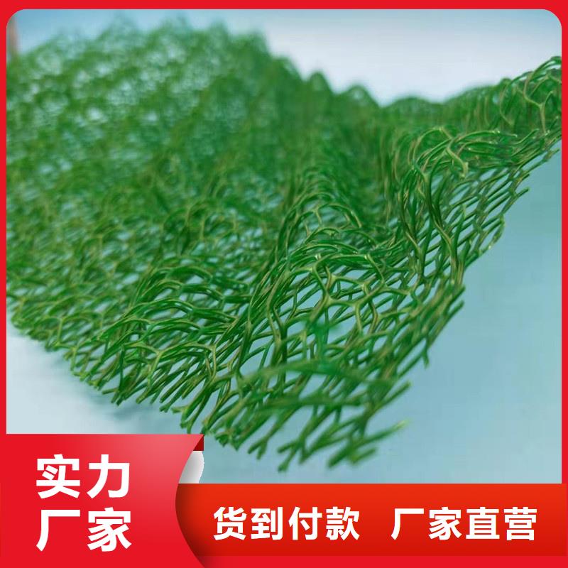 三维植被网水泥化粪池批发价格