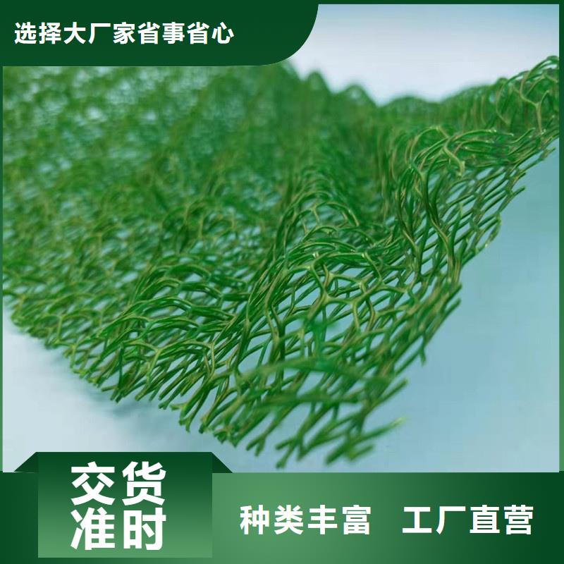 【三维植被网】,防护虹吸排水收集系统自产自销