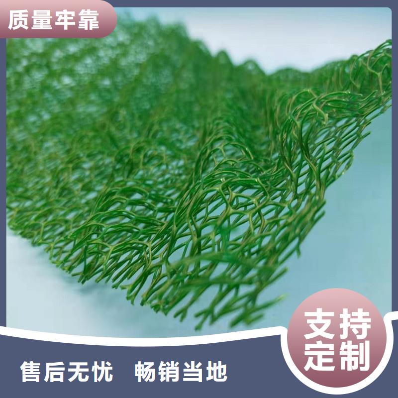 【三维植被网排水板本地厂家值得信赖】