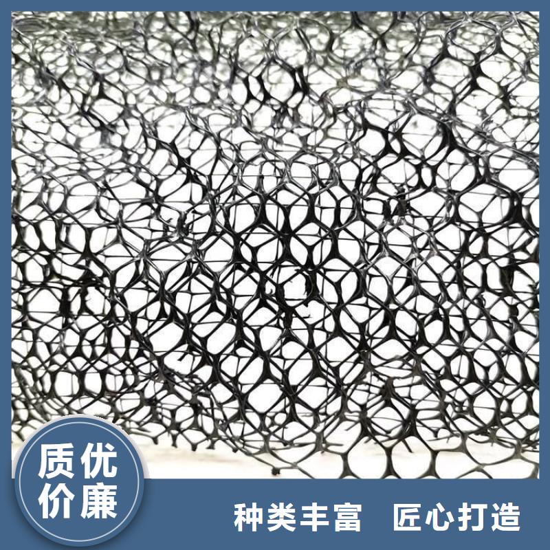 三维植被网防护虹吸排水收集系统闪电发货