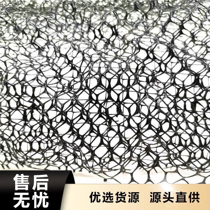 三维植被网,排水板全新升级品质保障