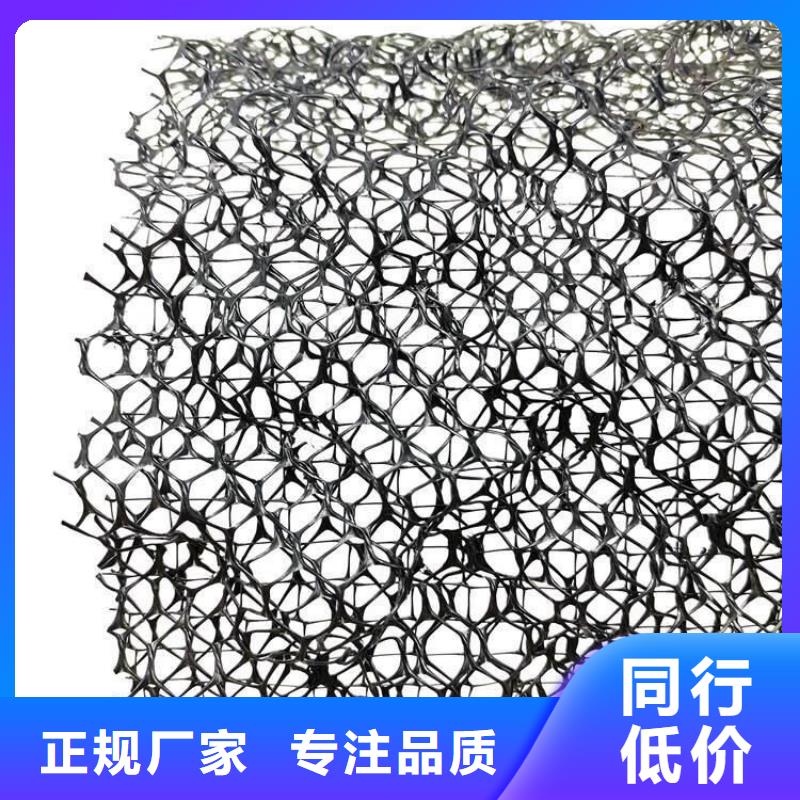 三维植被网,车库虹吸排水系统厂家销售