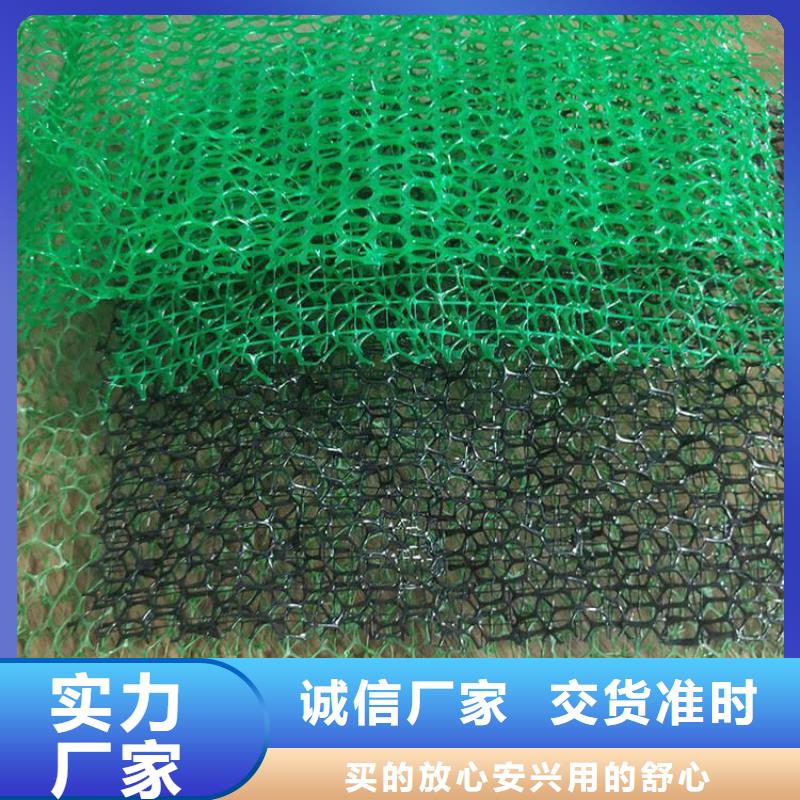 三维植被网_排水板实力商家供货稳定