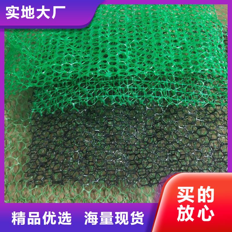 【三维植被网】,防护虹吸排水收集系统自产自销