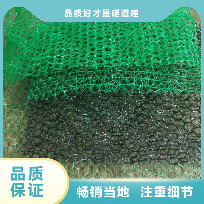 三维植被网【水泥化粪池】种类丰富
