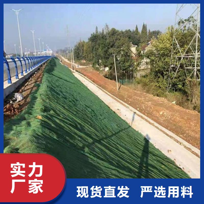 【三维植被网】_车库虹吸排水系统实体诚信厂家