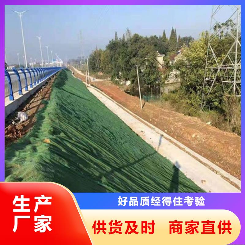 三维植被网,车库虹吸排水系统厂家销售