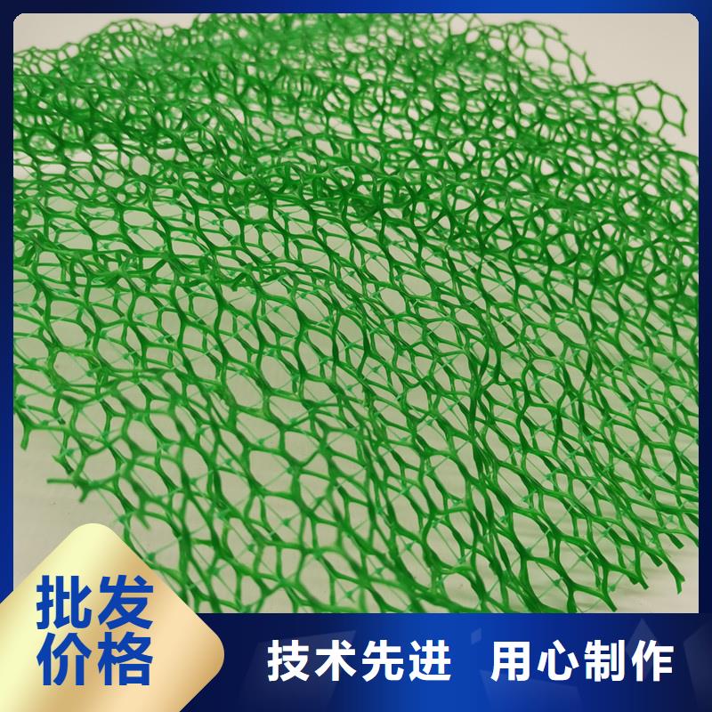 三维植被网车库虹吸排水系统一致好评产品