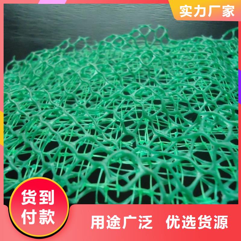 三维植被网【水泥化粪池】种类丰富