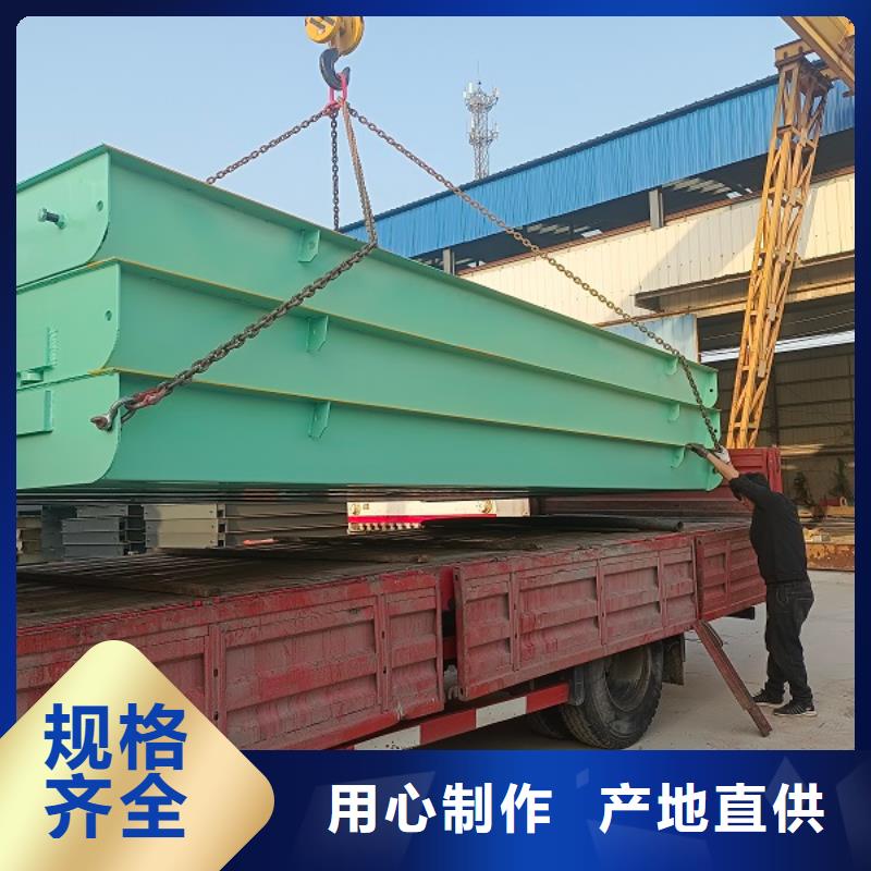 地磅-无线打印式电子吊秤品种全