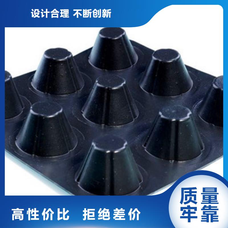排水板土工格栅质优价廉