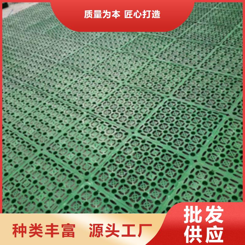 排水板三维植被网海量现货