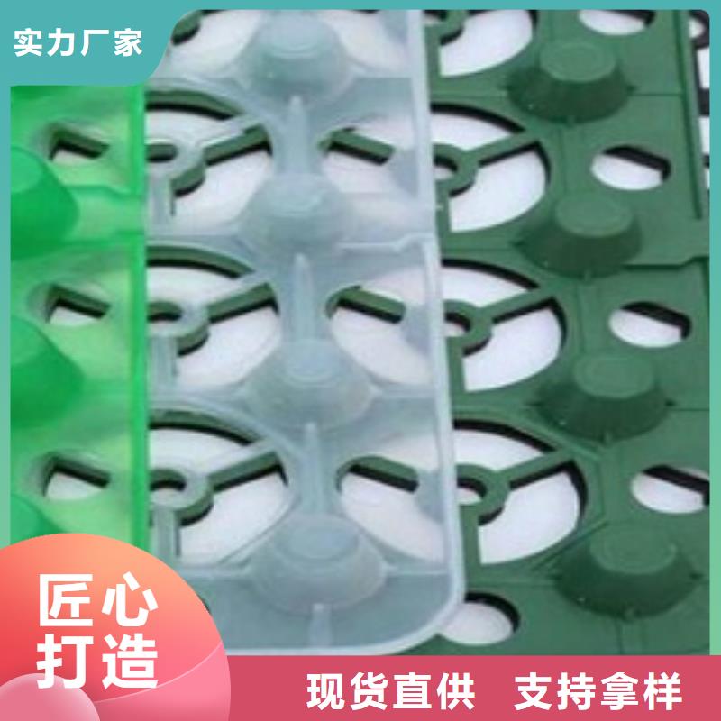 排水板【膨润土防水毯】厂家技术完善