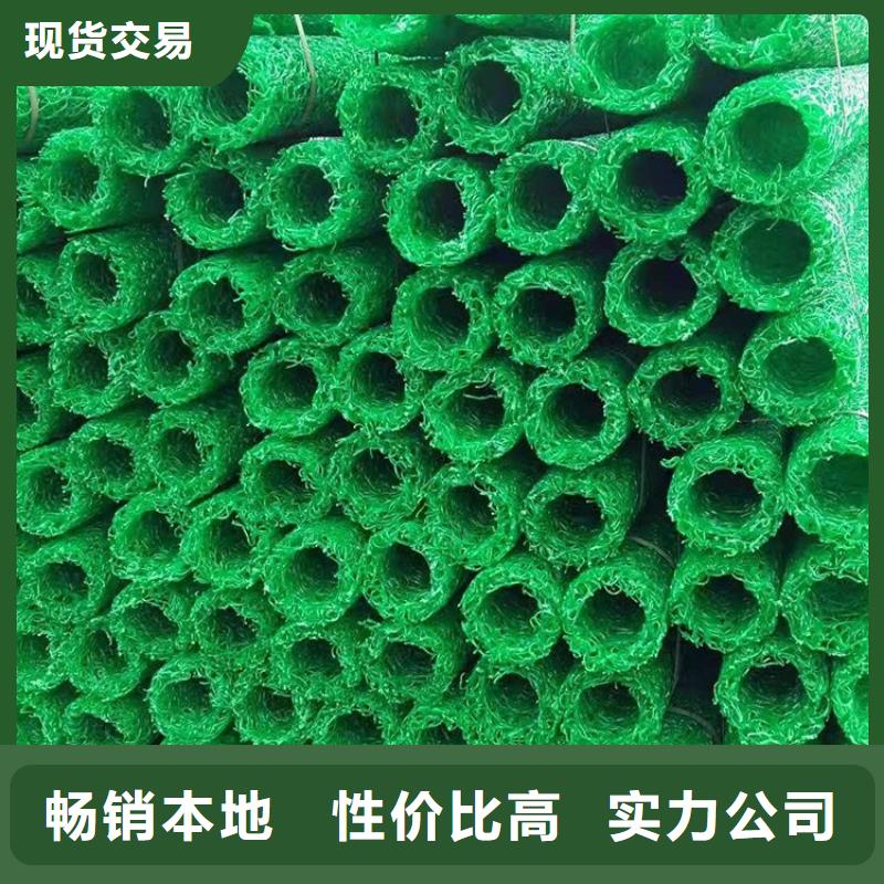 塑料盲沟土工格栅设备齐全支持定制