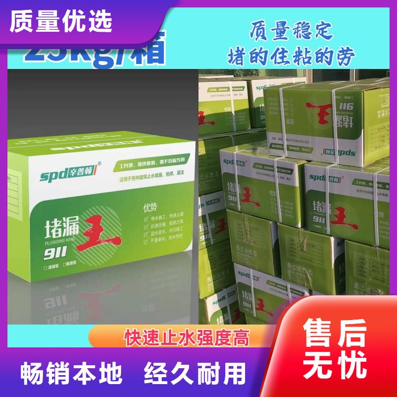 速凝堵漏王价格