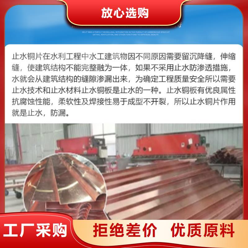 【止水铜片】土工格栅来电咨询
