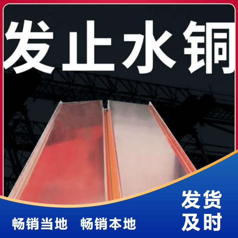 紫铜止水片团队厂家