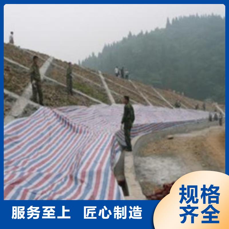 彩条布_【绿化防寒布厂】热销产品