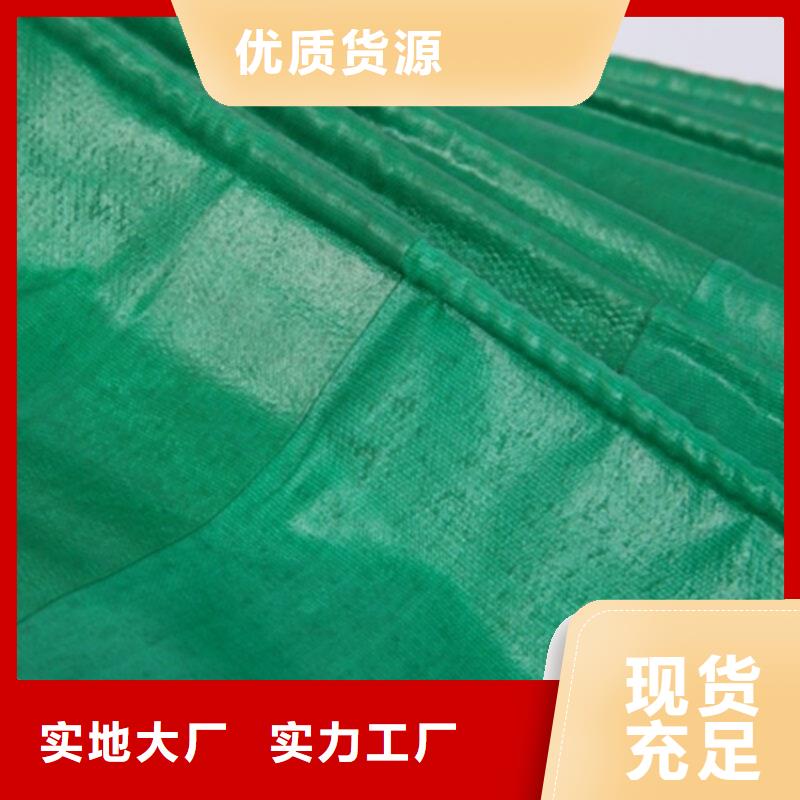 防雨布-双覆膜彩条布一手价格