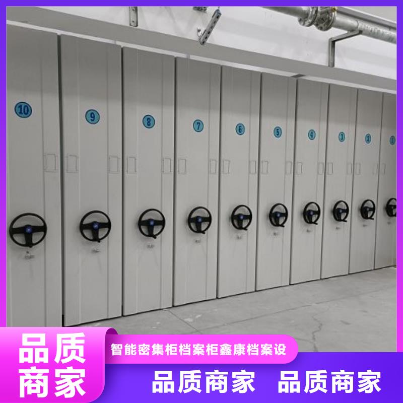 言必信果【鑫康】会计密集柜