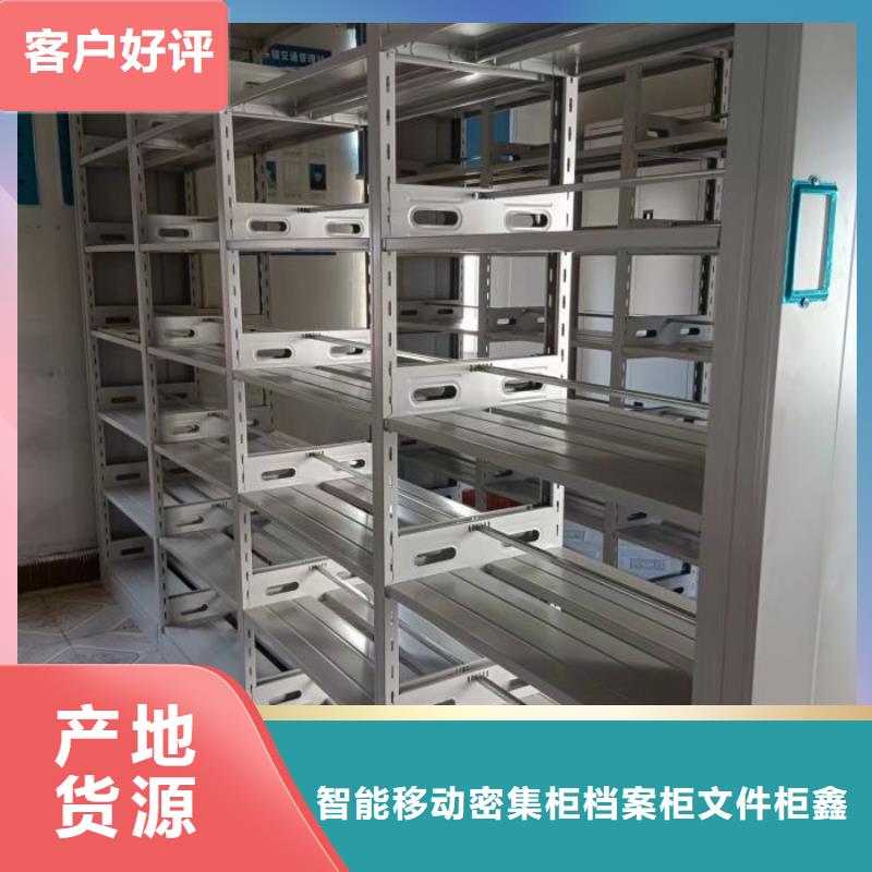 诚实守信【鑫康】橱式密集架