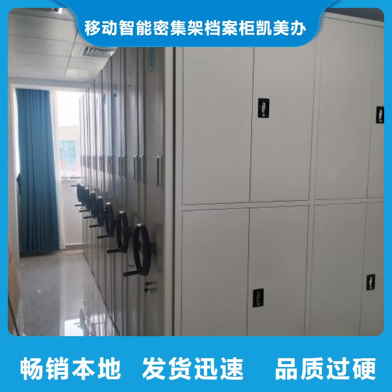 日常维修【凯美】加固型密集架