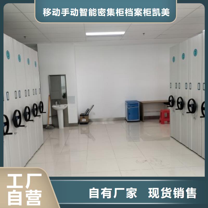 加盟商【凯美】油画密集柜