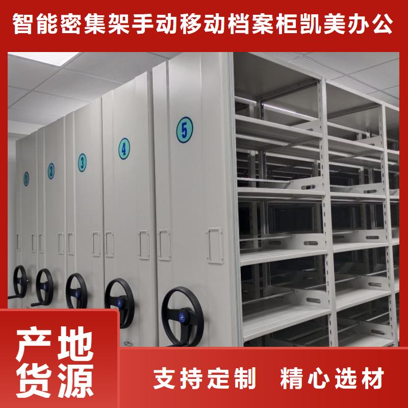 规格型号齐全【凯美】橱式密集架