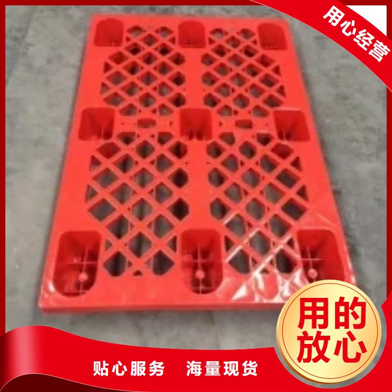 杀菌锅塑料垫板杀菌锅塑料隔板厂家质检严格