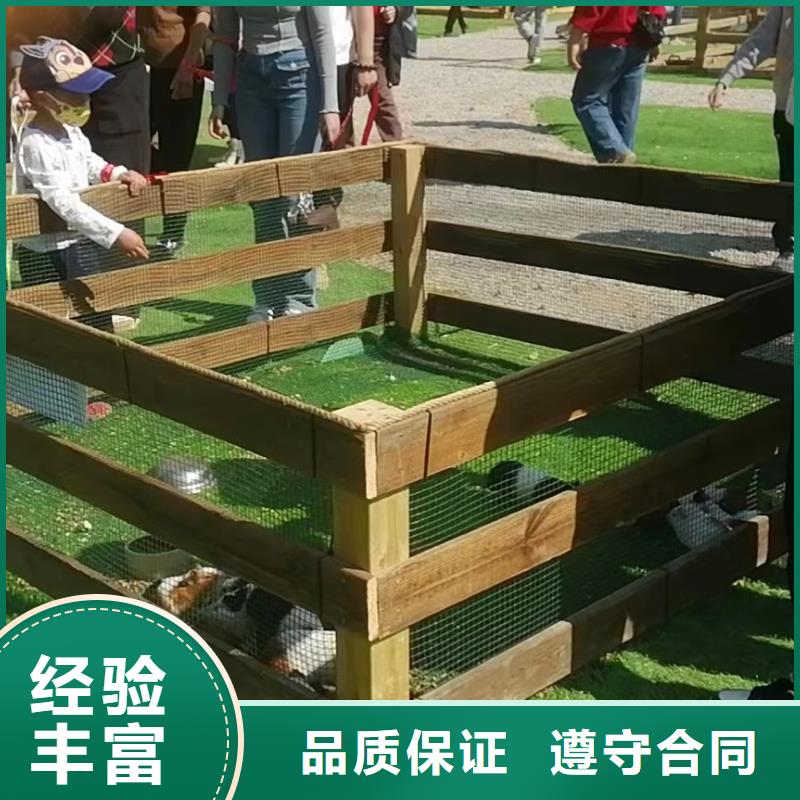 【马戏团/羊驼】动物表演出租多家服务案例